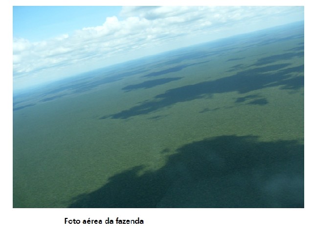 Foto 1 - Fazenda 11 mil hectares 8 milhoes